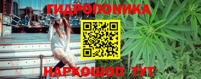 марки lsd Сланцы