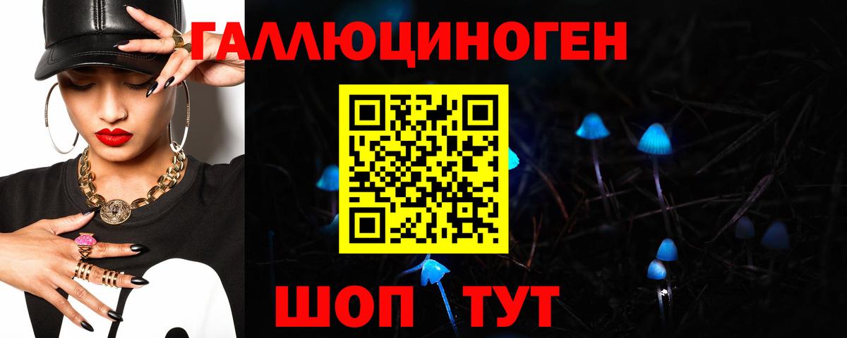 Галлюциногенные грибы GOLDEN TEACHER  Галлюциногенные грибы Psilocybine cubensis  Вход с VPN  где купить наркоту  Моздок 